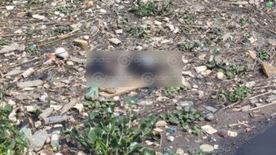 TERROR. Cadáver pasa flotando entre basura en un canal de aguas negras del Edomex
