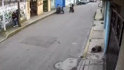 VIDEO: Señor intenta perseguir a ratero en moto que le arrebató el celular