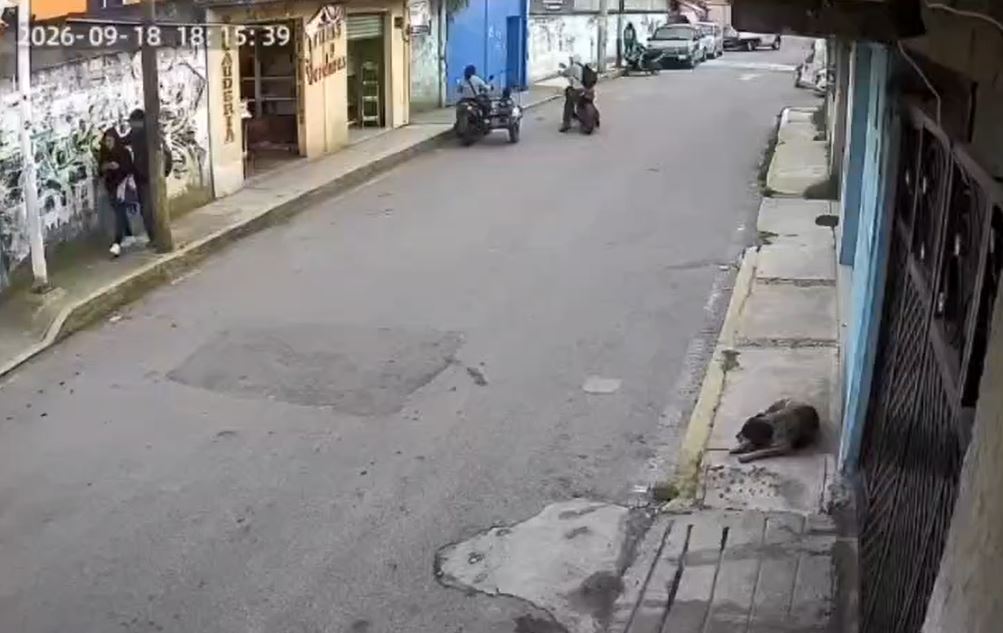 VIDEO: Señor intenta perseguir a ratero en moto que le arrebató el celular