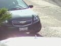 VIDEO: Conductora no pone el freno de mano, provoca choque y huye