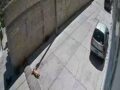 VIDEO: Perrito llora arrollado por un conductor que huyó en su camioneta