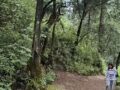 VIDEO. Habitantes de dos poblados pelean con puños y disparos por terrenos comunales en Edomex