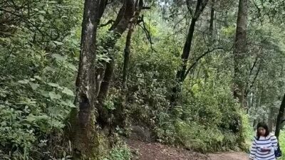 VIDEO. Habitantes de dos poblados pelean con puños y disparos por terrenos comunales en Edomex