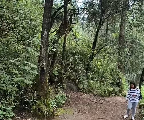 VIDEO. Habitantes de dos poblados pelean con puños y disparos por terrenos comunales en Edomex