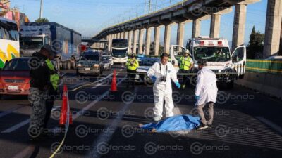 LAMENTABLE. Ella no usaba zapatos, muy temprano intentó cruzar la autopista y murió arrollada