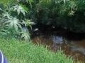VIDEO. ‘¡Ayuda!’; policías de Ecatepec agreden a madres buscadoras en un canal