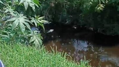 VIDEO: ‘¡Ayuda!’; policías de Ecatepec agreden a madres buscadoras en un canal