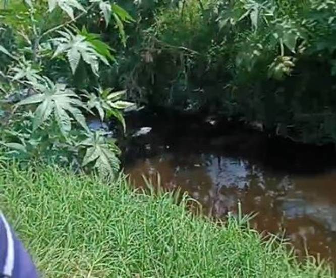 VIDEO: ‘¡Ayuda!’; policías de Ecatepec agreden a madres buscadoras en un canal