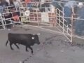 VIDEO: Jorge quiso participar en la ‘Tarimorada’ y murió corneado por un toro
