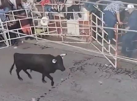 VIDEO: Jorge quiso participar en la ‘Tarimorada’ y murió corneado por un toro