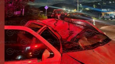TERRIBLE. Juana manejaba su auto y su vida terminó al chocar contra un caballo