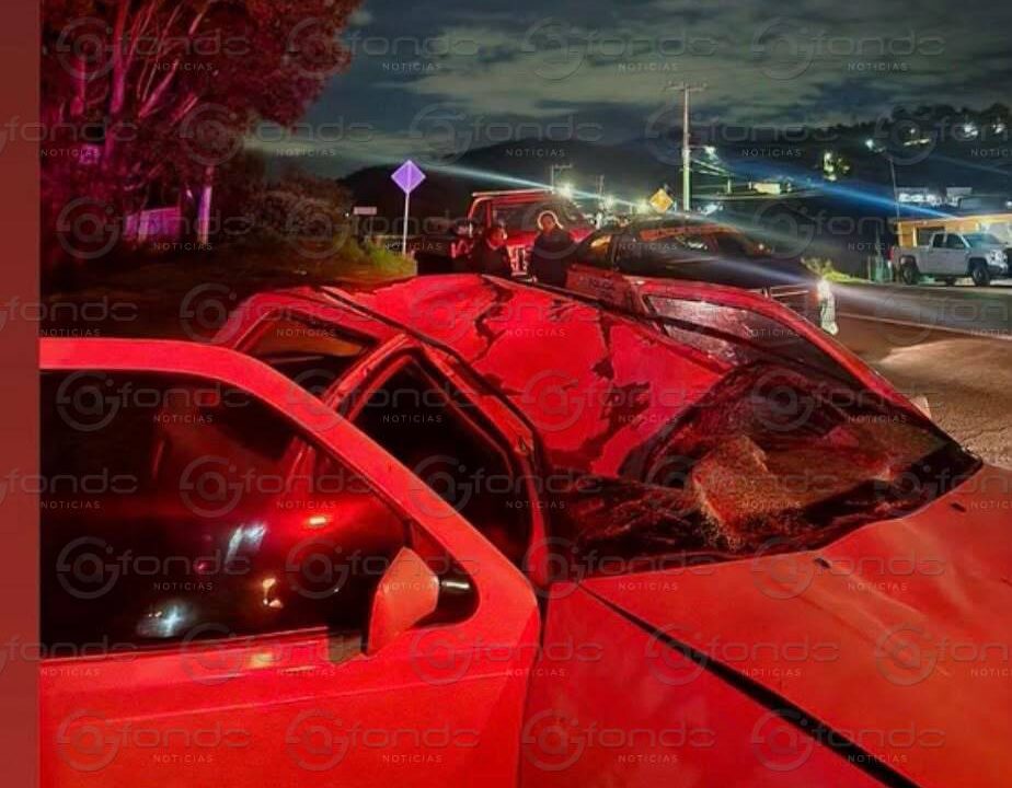 TERRIBLE. Juana manejaba su auto y su vida terminó al chocar contra un caballo