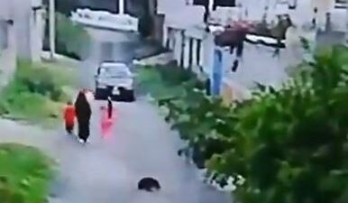VIDEO. Conductor huye luego de arrollar y dejar sin vida a una perrita en Edomex