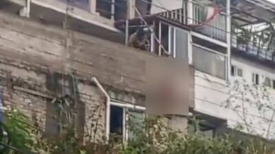 VIDEO: Perrito sufre terrible final en la azotea donde estaba amarrado