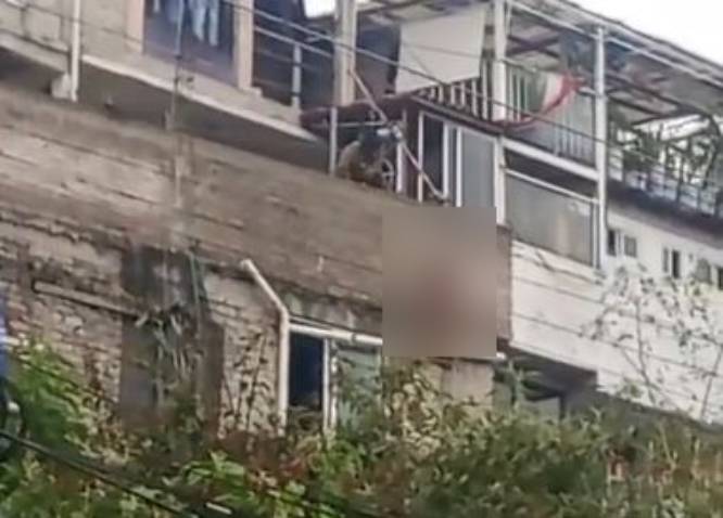 VIDEO: Perrito sufre terrible final en la azotea donde estaba amarrado