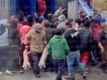 VIDEO. Pobladores roban marranitos que eran transportados en un tráiler que sufrió volcadura