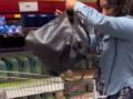 VIDEO: ‘¡Te grabé!’; fardera llevaba muchas botellas de whiskey en el Sam´s