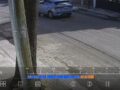 VIDEO: Perrito es abandonado por sus dueños y un conductor lo mató