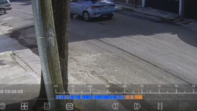 VIDEO: Perrito es abandonado por sus dueños y un conductor lo mató