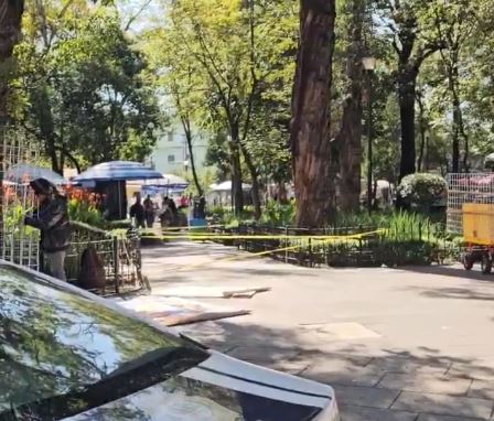 TRISTEZA: Todos lo veían diario en el parque, pero un señor murió solo en una banquita