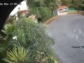VIDEO: Conductor fuera de control destroza una casa y termina en el patio