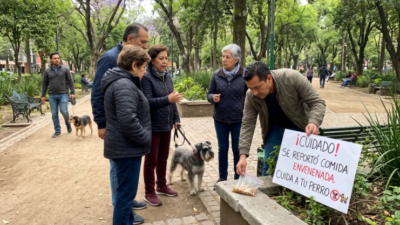 ALERTA: Dejan trozos de carne con pastillas tóxicas para envenenar perritos