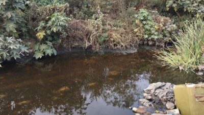 BORRACHO: ‘No estaba muerto…’; ebrio decide tomar una siesta en el canal y moviliza a policías