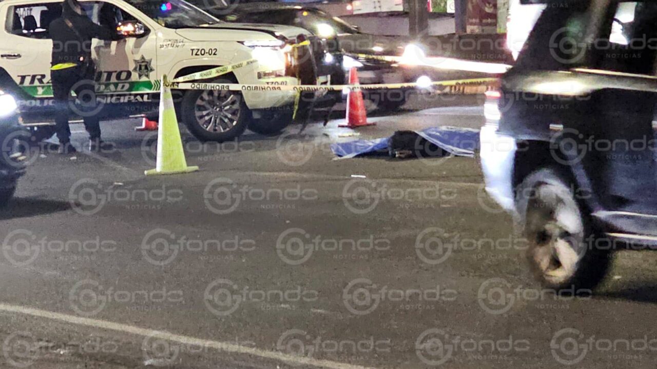 VIDEO. Él intentó cruzar la carretera de noche y murió arrollado por un camión de pasajeros