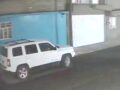 VIDEO: Mototaxista se roba a un pequeño perro pug que se salió de casa