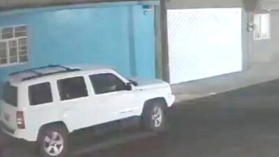 VIDEO: Mototaxista se roba a un pequeño perro pug que se salió de casa