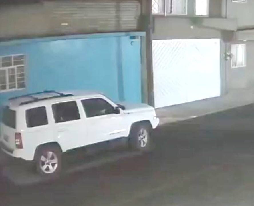 VIDEO: Mototaxista se roba a un pequeño perro pug que se salió de casa
