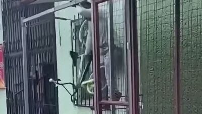 VIDEO: Ratero salía de una casa con una bicicleta, lo graban y se va como si nada